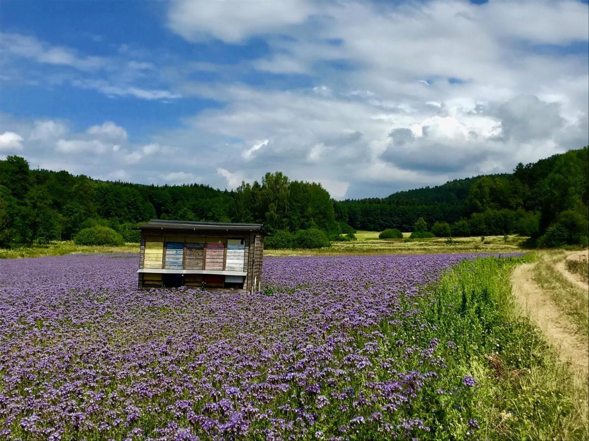 Hüttendorf Fränkische Schweiz Pottenstein Exterior foto